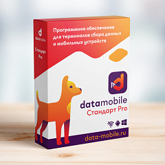 ПО DataMobile, версия Стандарт Pro в Перми