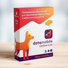ПО DataMobile, версия Online Lite в Перми